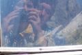 100_1647.JPG