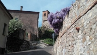 Arquà Petrarca scorcio / View of Arquà Petrarca
