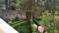 Casa del Petrarca: giardino / Petrarca\'s house: the garden
