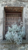 Arquà Petrarca