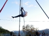 Circopitanga