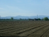 IMGP8936