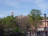 IMGP8957