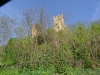 IMGP8961