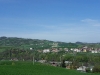 IMGP8965