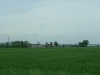 IMGP8979