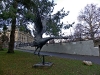 IMGP8629_friburgo