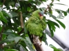IMGP6817_zoo