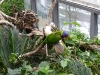 IMGP6824_zoo
