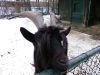 IMGP6844_zoo
