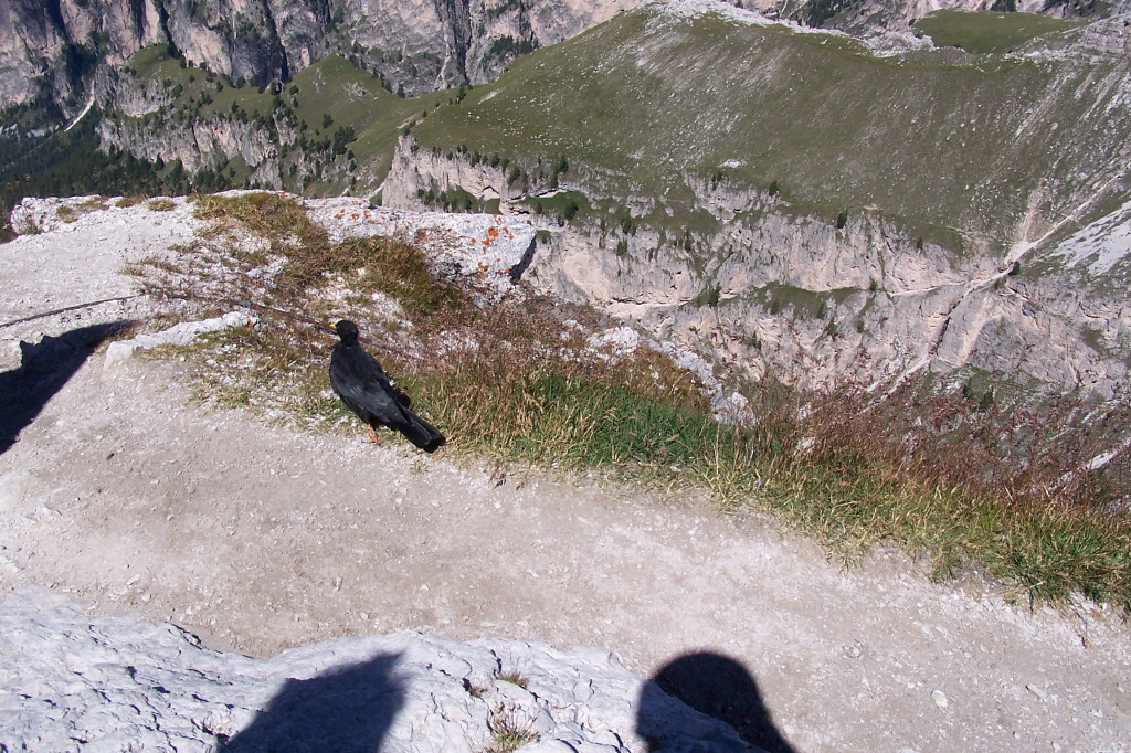 100_1551.JPG