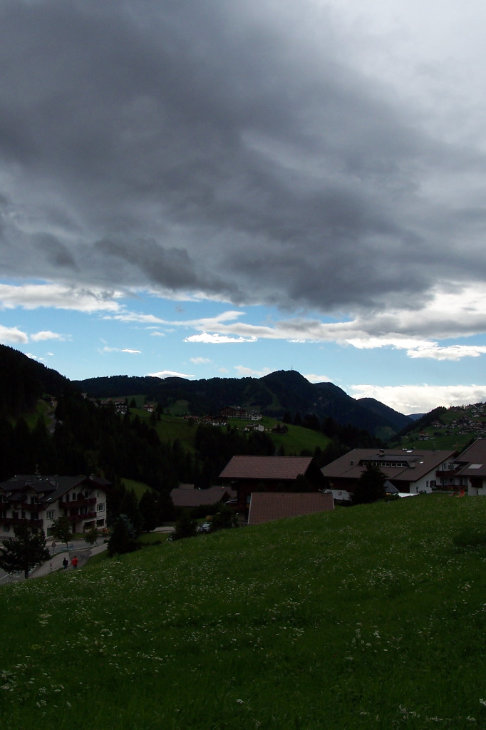 100_1239.JPG