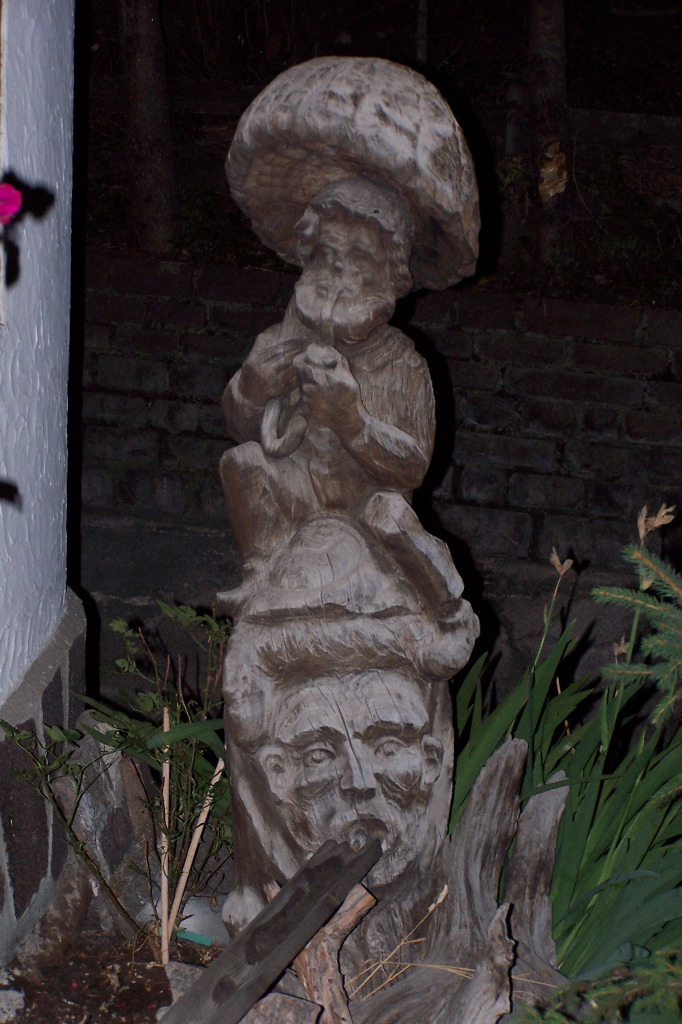 100_1618.JPG