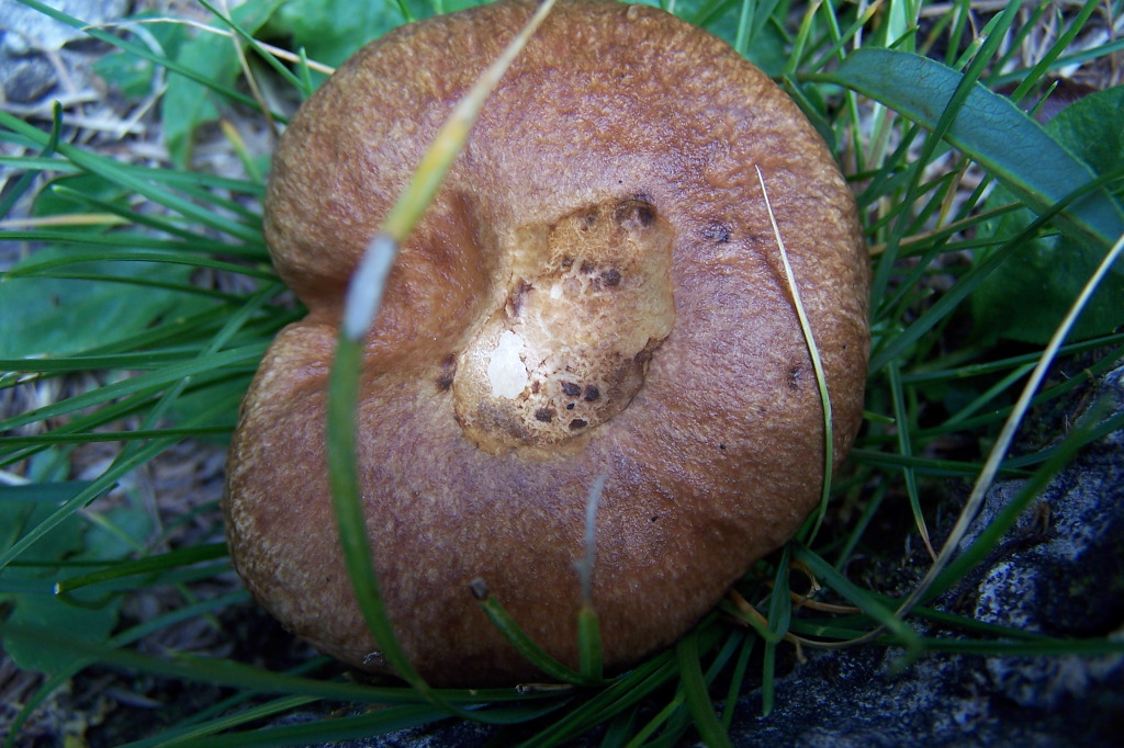 100_1479.JPG