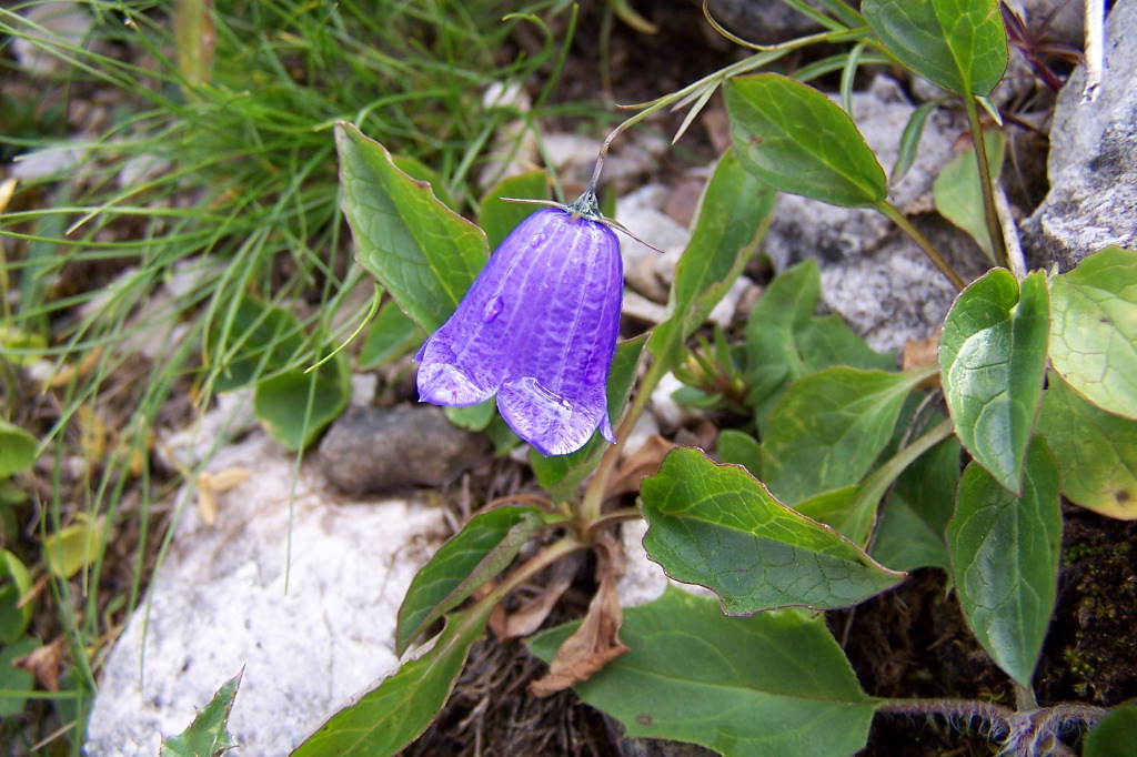 100_1416.JPG