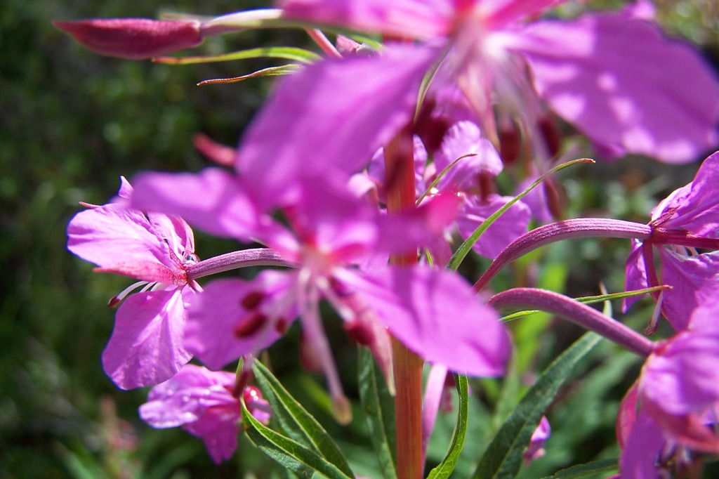 100_1434.JPG