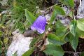 100_1416.JPG