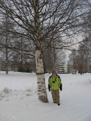 IMG_9631_Rovaniemi