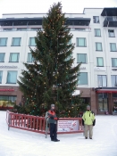 imgp0309_rovaniemi-albero-natale-tarokok