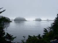 IMGP2210_Ucluelet