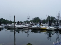 IMGP2246_Ucluelet