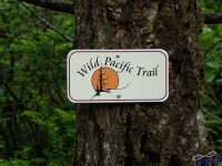 IMGP2532_Ucluelet_WildPacificTrail
