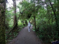 IMGP2536_Ucluelet_WildPacificTrail