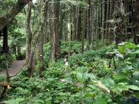 IMGP2538_Ucluelet_WildPacificTrail