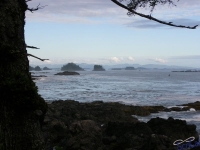 IMGP2543_Ucluelet_WildPacificTrail