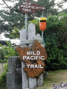 IMGP2549_Ucluelet_WildPacificTrail