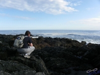 IMGP2550_Ucluelet_WildPacificTrail