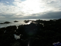 IMGP2555_Ucluelet_WildPacificTrail