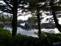IMGP2591_Ucluelet_WildPacificTrail
