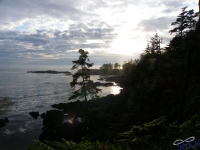 IMGP2599_Ucluelet_WildPacificTrail