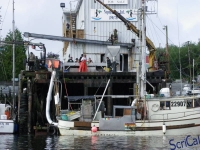IMGP2281_Ucluelet_Zodiac