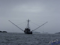 IMGP2287_Ucluelet_Zodiac