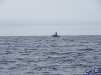 IMGP2333_Ucluelet_Zodiac