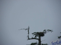 IMGP2471_Ucluelet_Zodiac