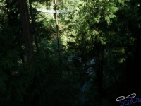 IMGP4305_Vancouver_Capilano