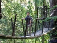 IMGP4318_Vancouver_Capilano