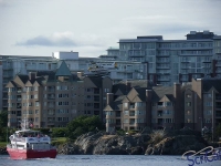 IMGP2089_Victoria