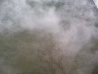 CAM00551