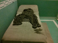 CAM00551c