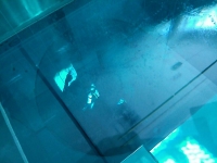 CAM00639