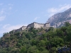 IMGP5697_Bard