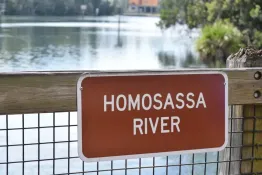 Florida-2025_Crystal-River-homosassa-DSC_0132