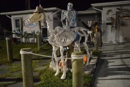 Florida-2025_Crystal-River_DSC_0181_Halloween