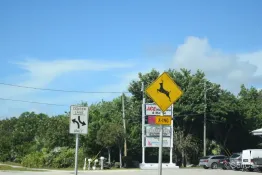 Florida-2025_Key-West_DSC_0204_cartelli-crossing