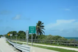 Florida-2025_Key-West_seven-miles-bridge-duck-DSC_0186