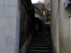 IMGP8594_friburgo